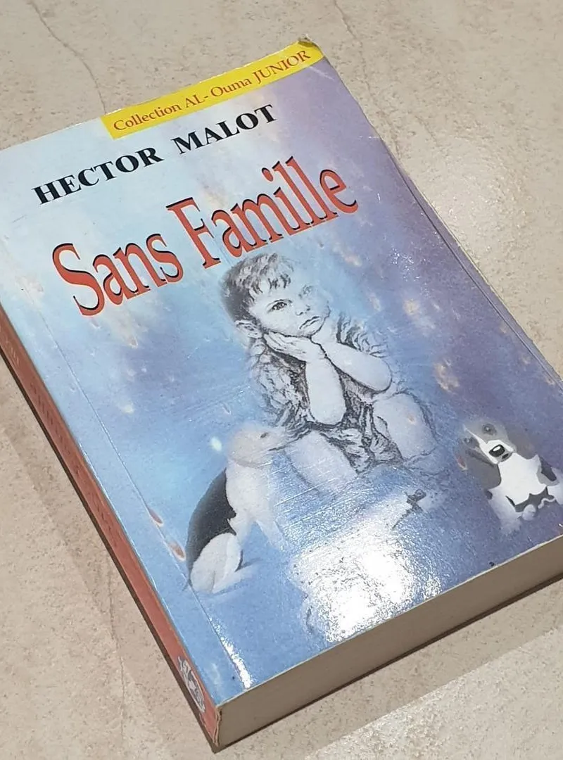 Sans Famille