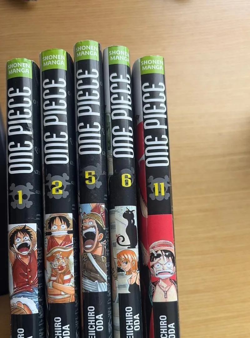Manga One Piece