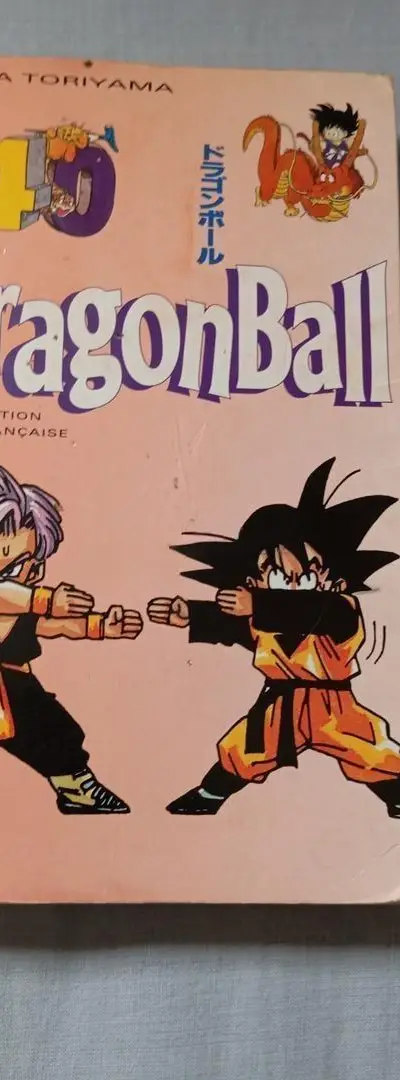 Dragon Ball T40