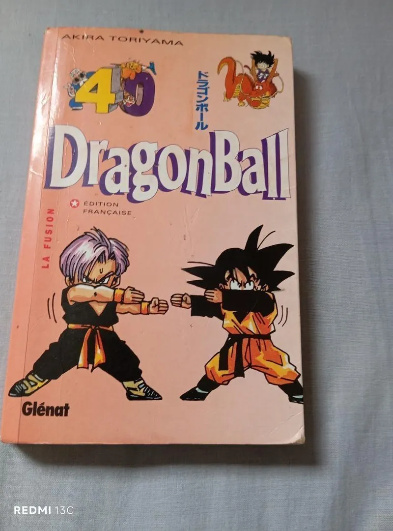Dragon Ball T40