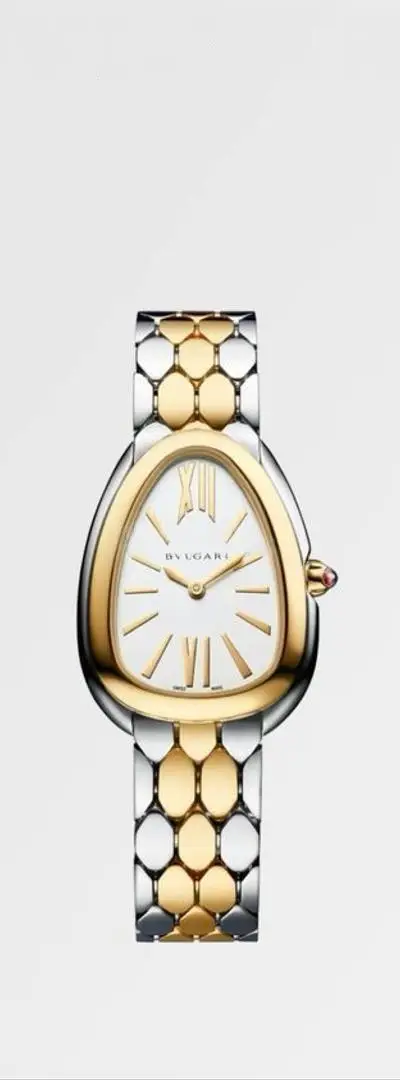 Montres qualité top livraison gratuite