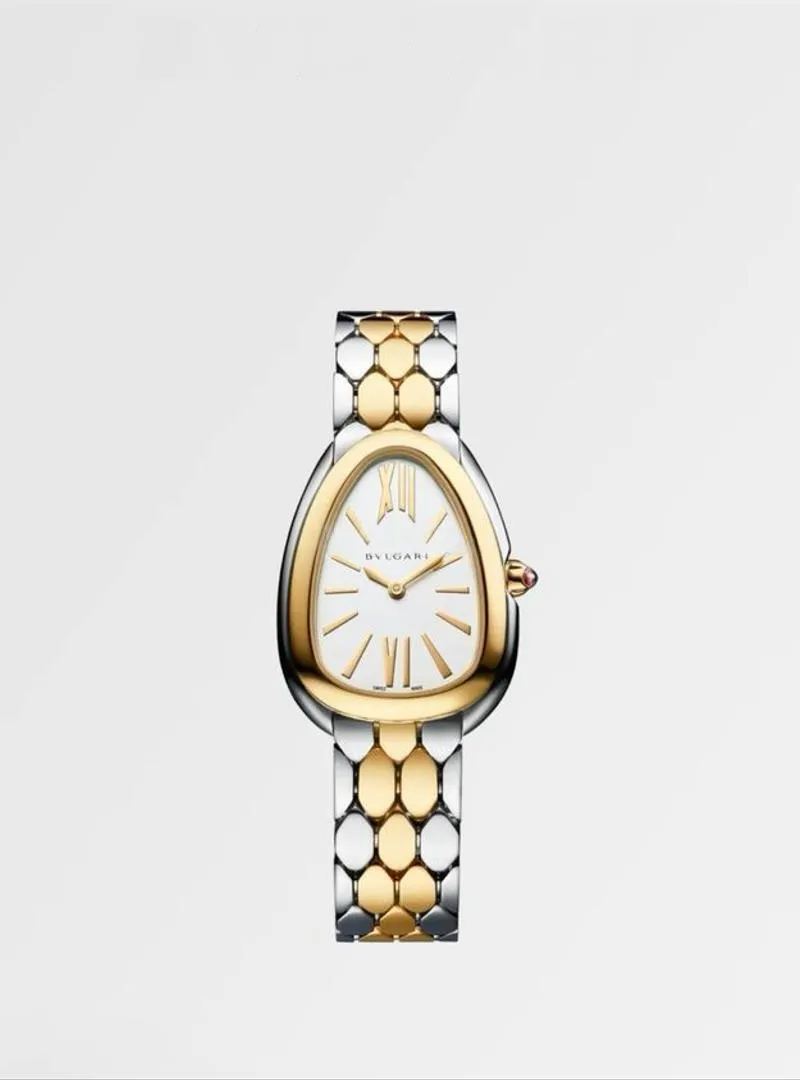Montres qualité top livraison gratuite