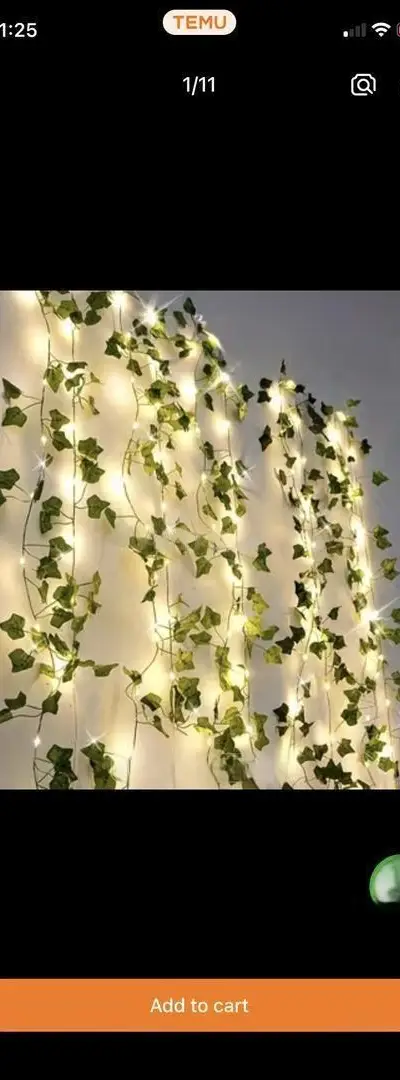 Décoration pour votre maison
