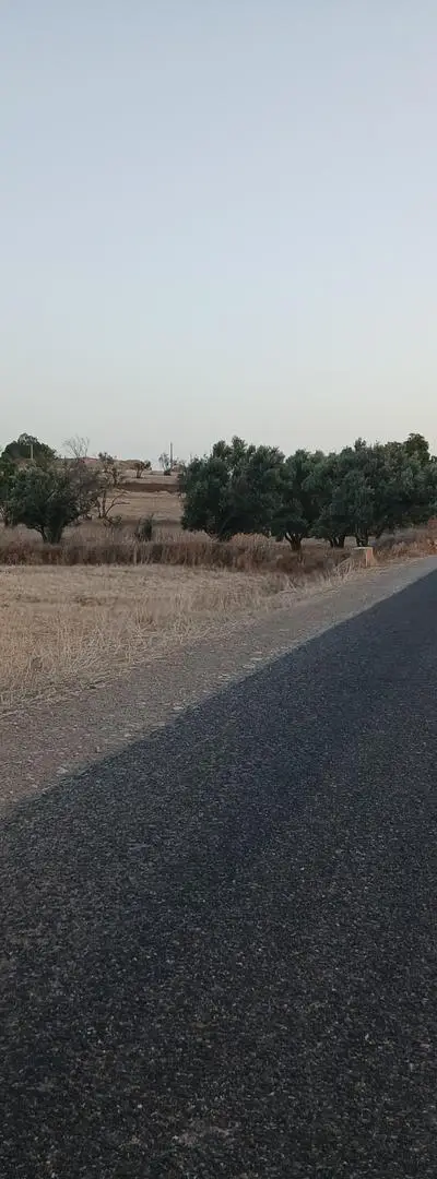 Un terrain sur la route région Essaouira