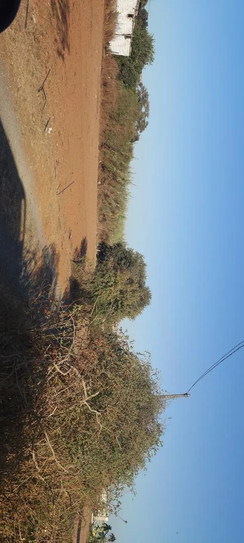 Terrain R4 titre 8400 Salé El Jadida