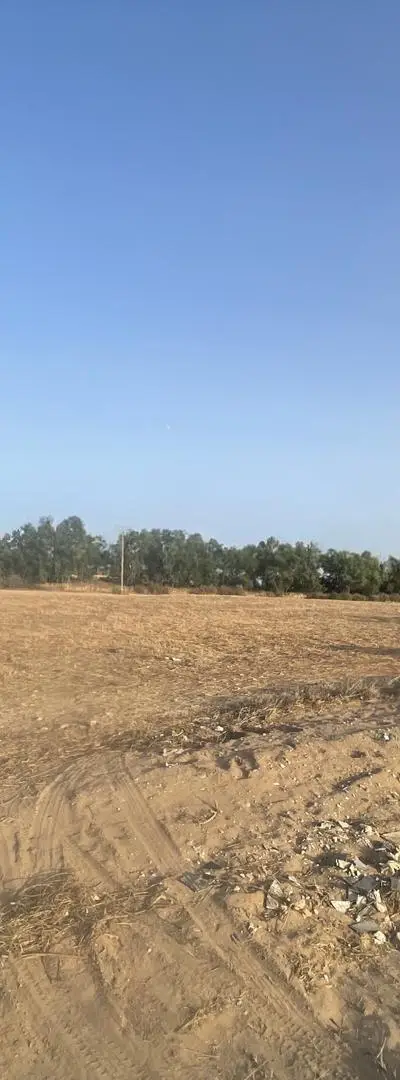 Terrain de 12000m² sur la route côtière à Azemmour