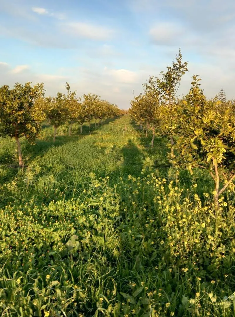 Ferme à quelques km de Bouznika