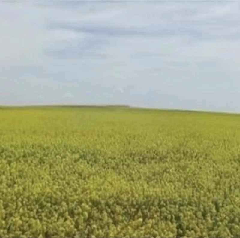 Terrain agricole à vendre