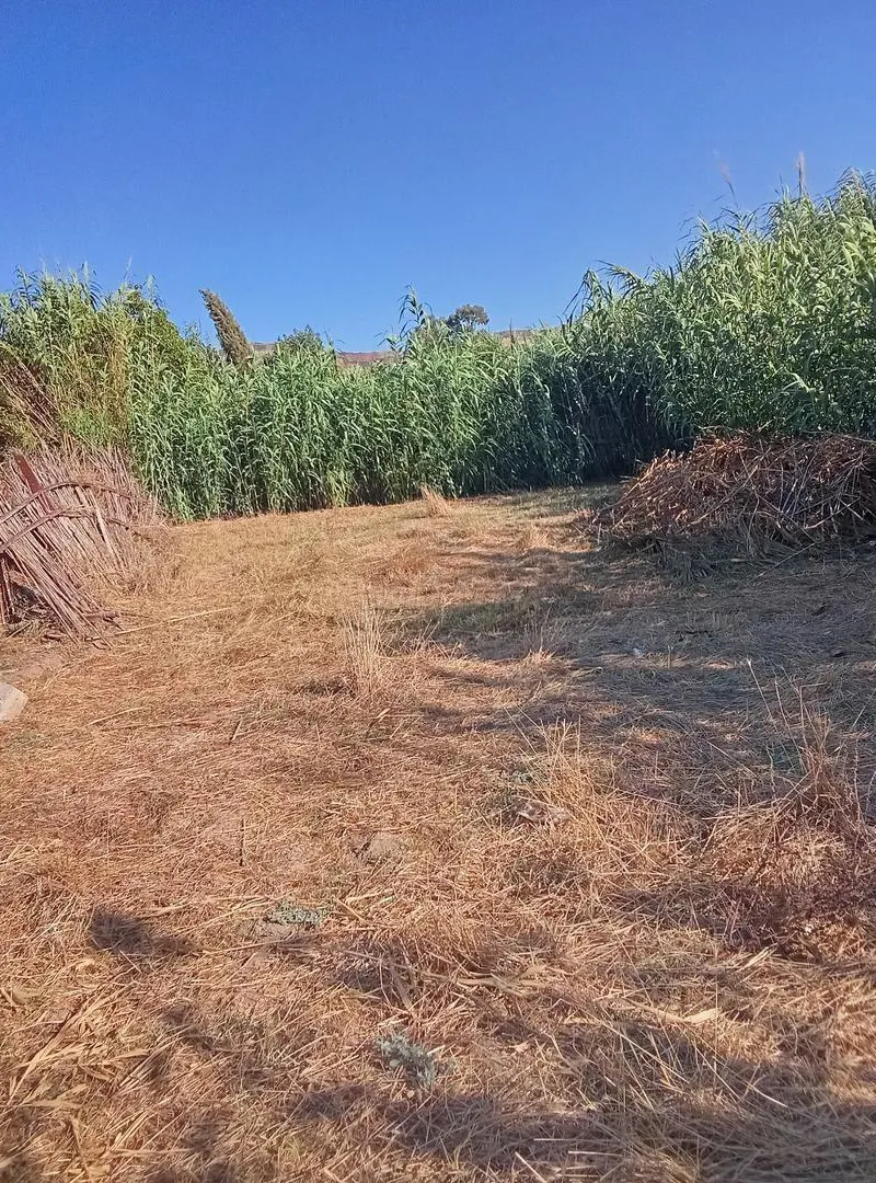 Tétouan, région d'Azla (Bni Maâdan)