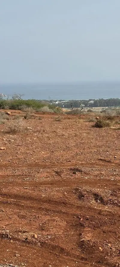MAGNIFIQUE TERRAIN