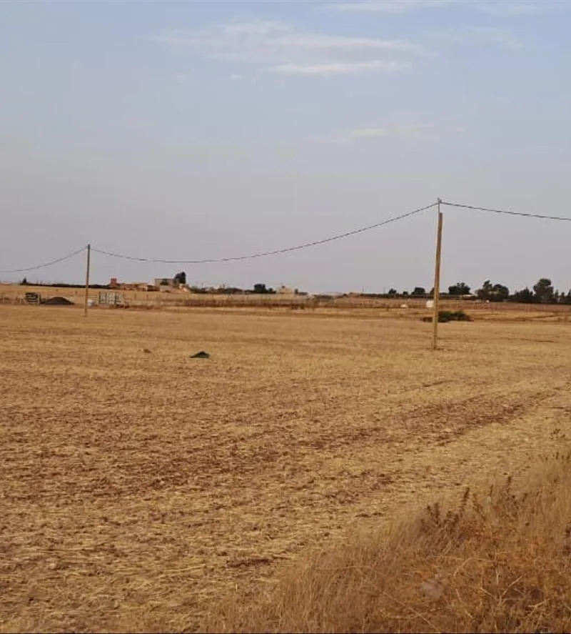 Terrain agricole à vendre