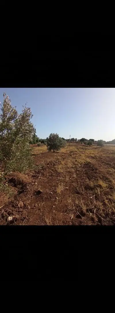 Terrain agricole à vendre