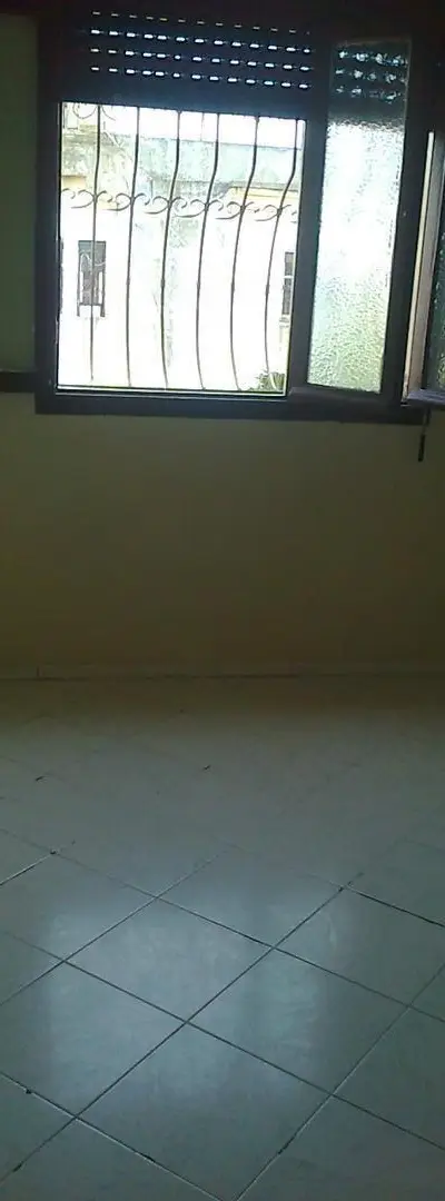 appartement à louer pour homme célibataire