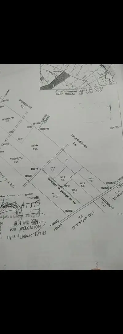 Hectare planté à vendre Sidi Rahal Plage