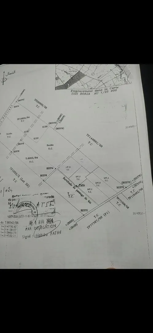 Hectare planté à vendre Sidi Rahal Plage