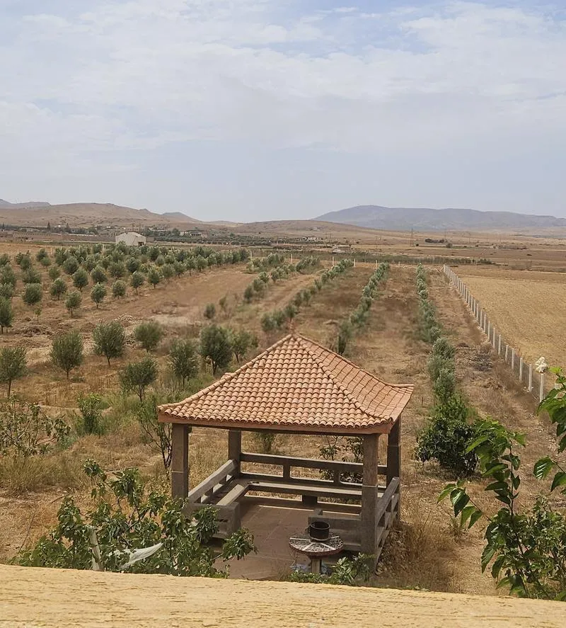 Ferme équipée 2500m² à côté de Marjane Oujda