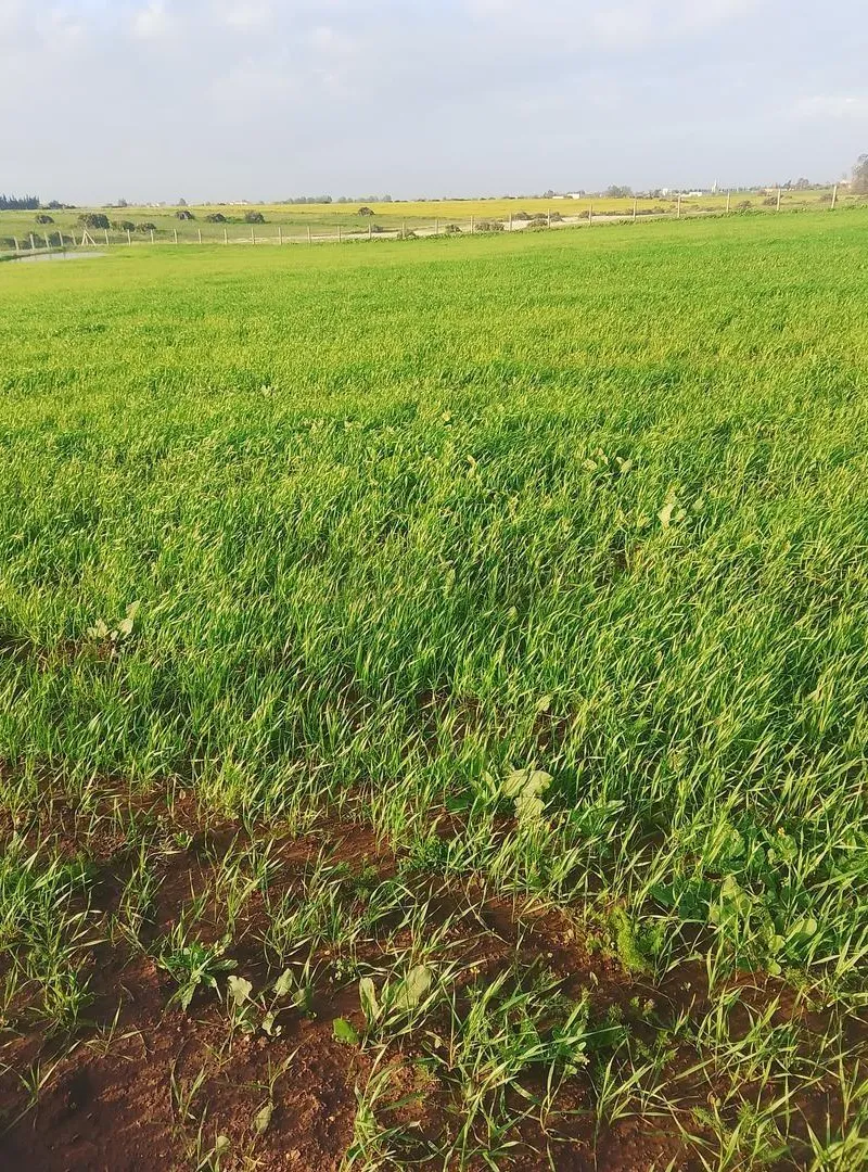 Terrain à vendre titré foncier conservé et clôturé