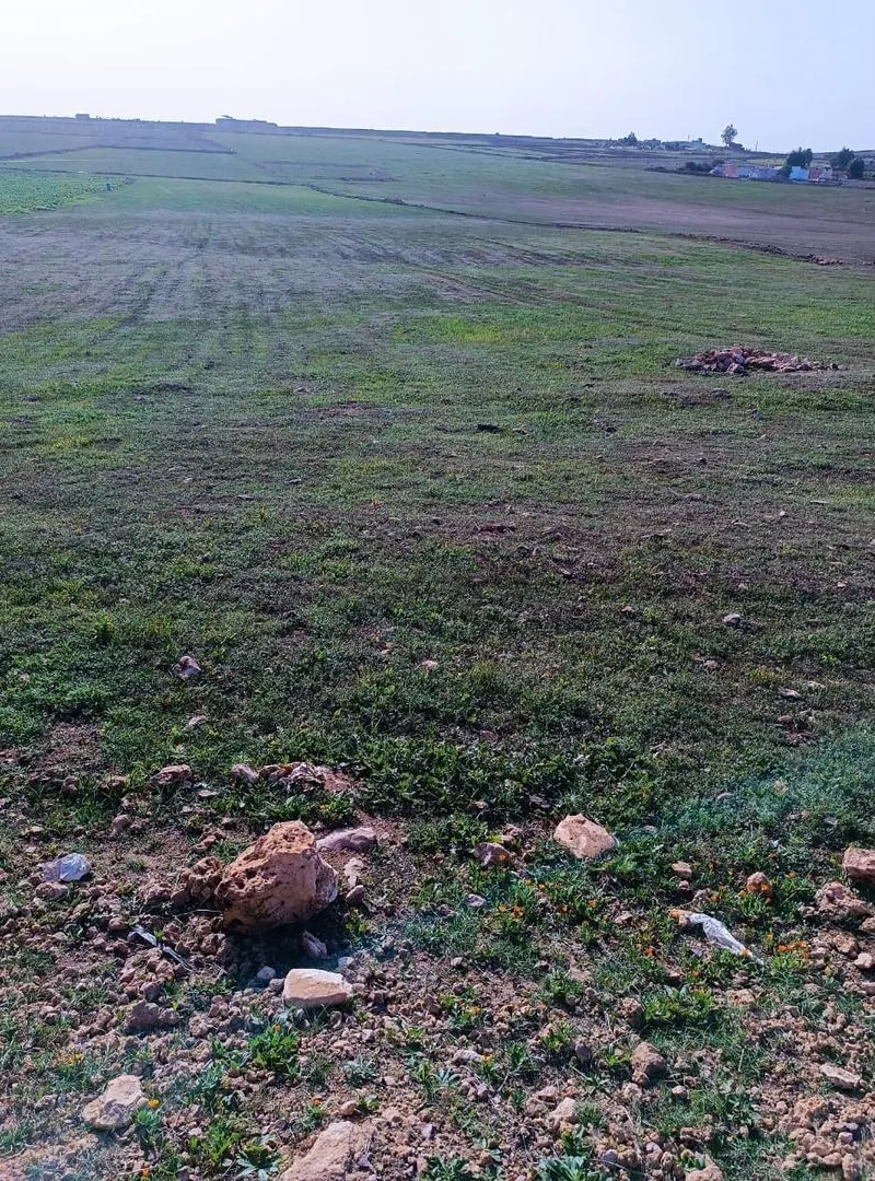 Terrain agricole titré 14200m2 avec puit