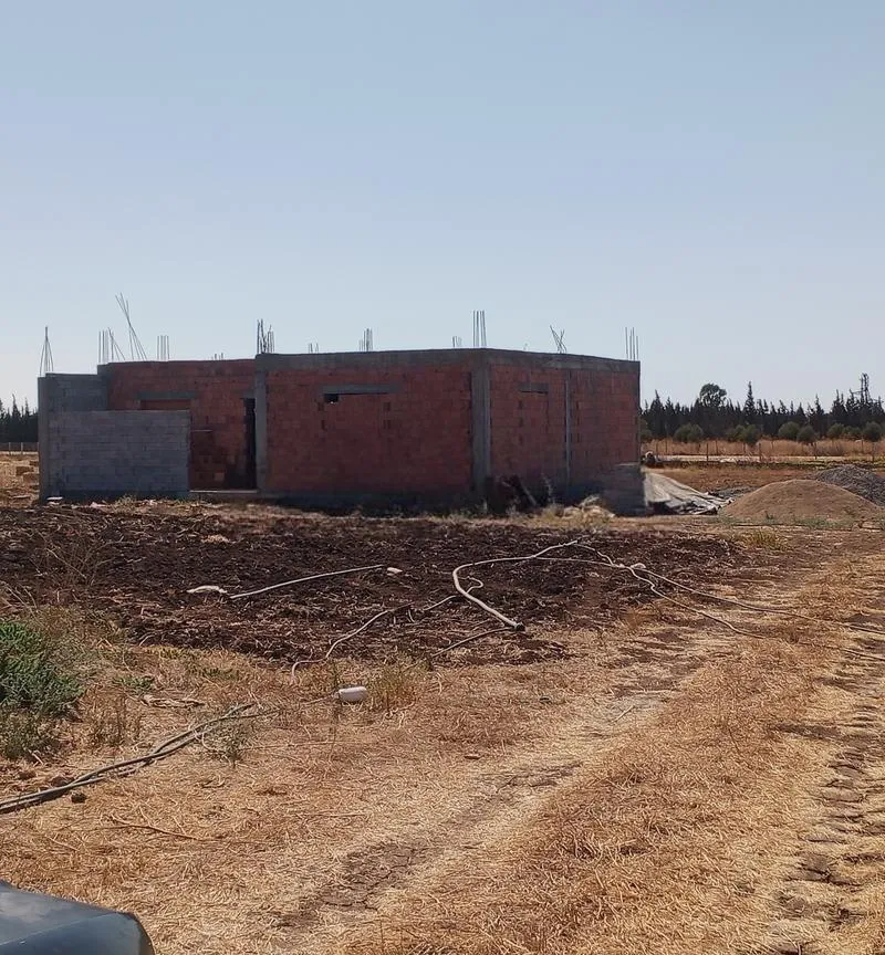 Sidi Aidi Fella