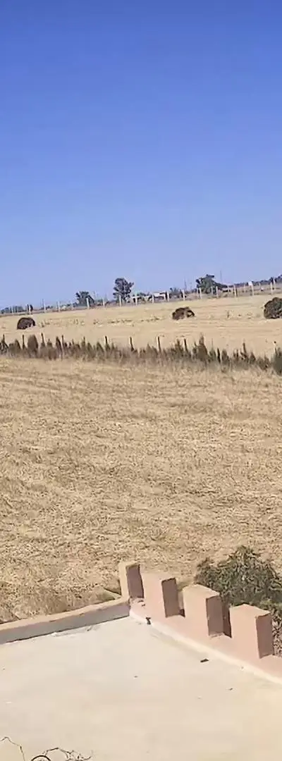 Terrain agricole titré dans un endroit calme près de Benslimane