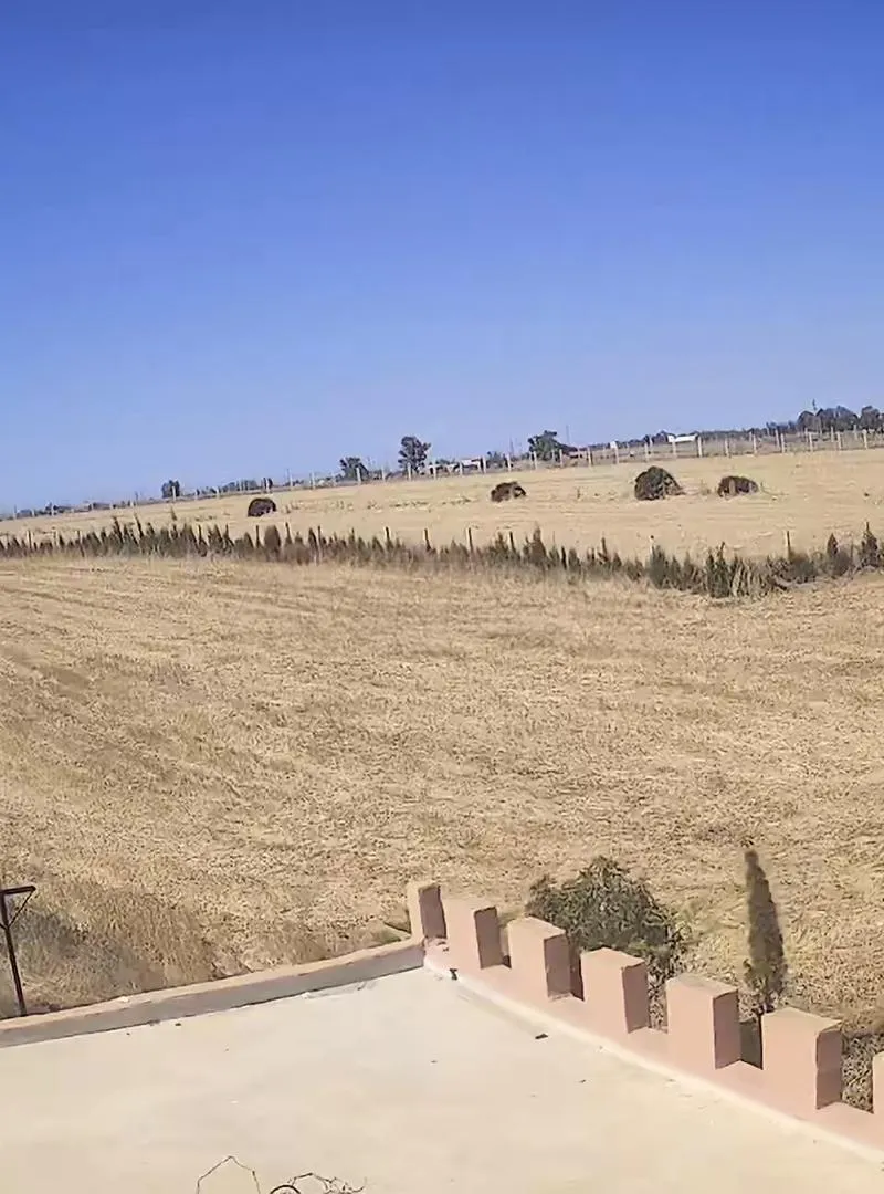 Terrain agricole titré dans un endroit calme près de Benslimane