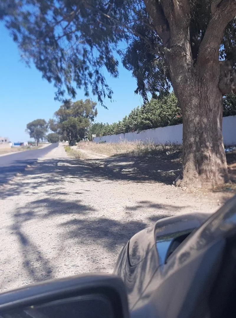 Hectar titré à El Houzya