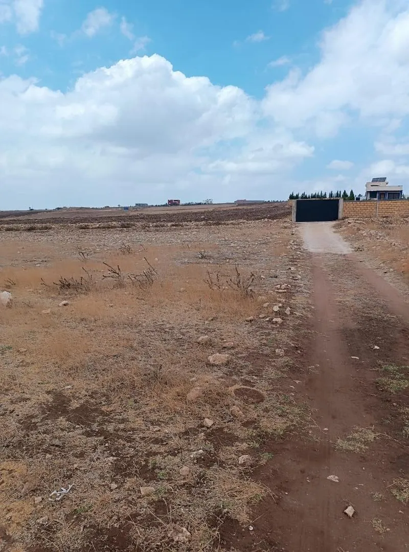 Terrain agricole titre foncier 2929m2