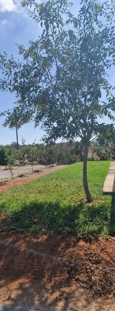 Terrain 2258 m² titré avec maison