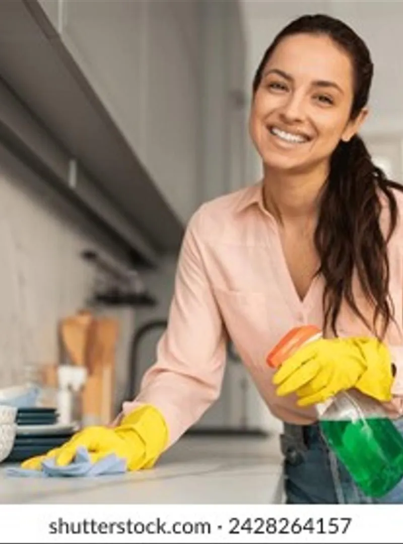 femme de menage villa nounou cuisinière