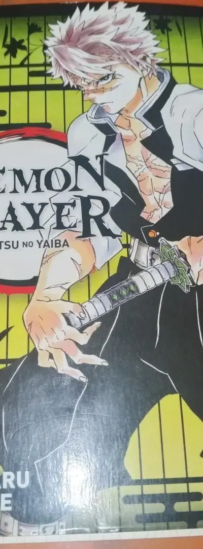 Manga Demon Slayer