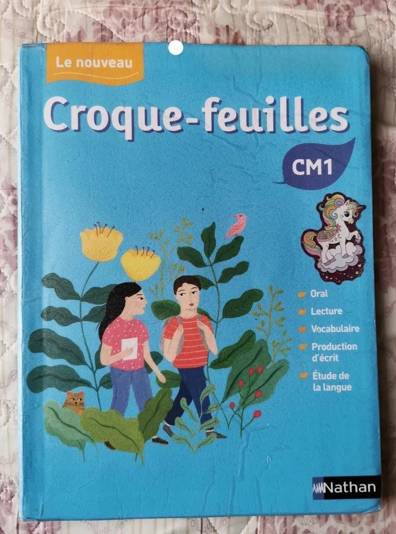 programme livres CM1 comme neuf