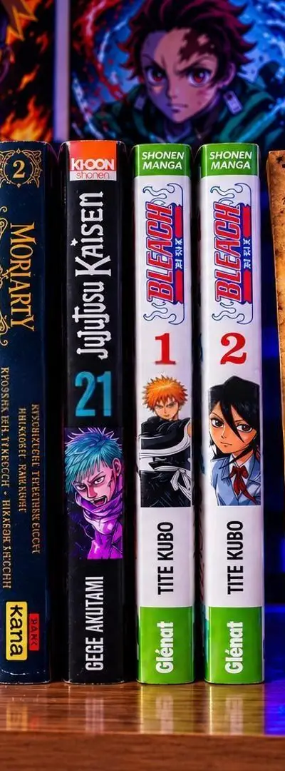 Pack de mangas avec cadre offert