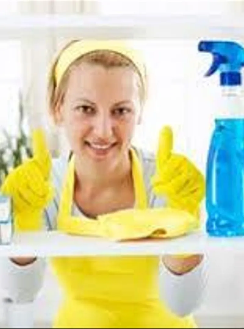 Agence de femmes ménages POLYVALENTE