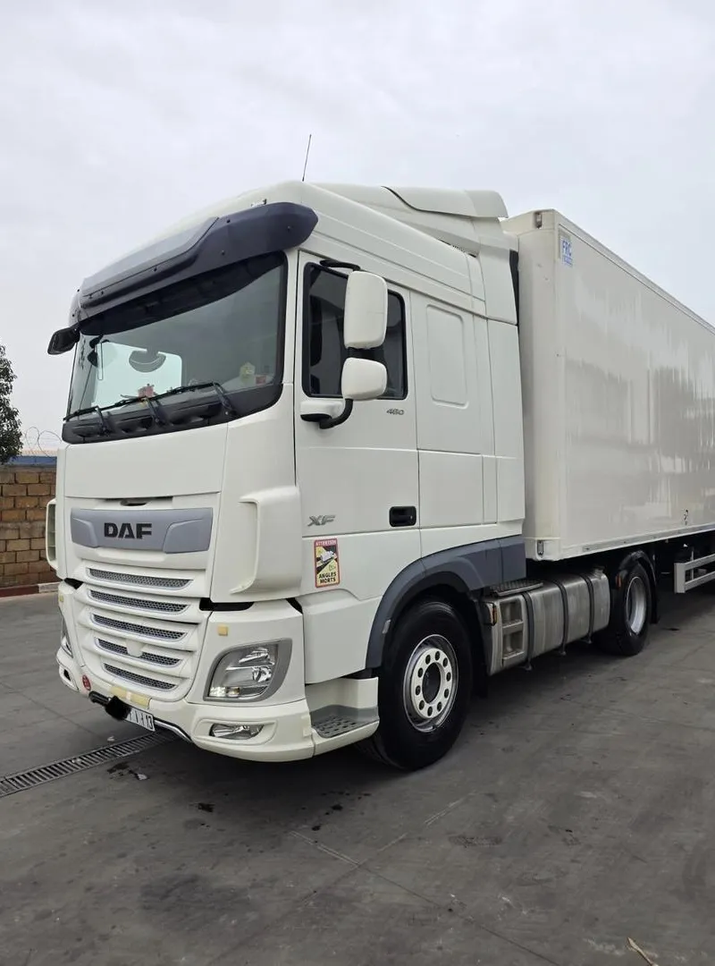 DAF XF 480 avec Semi-remorques frigorifiques