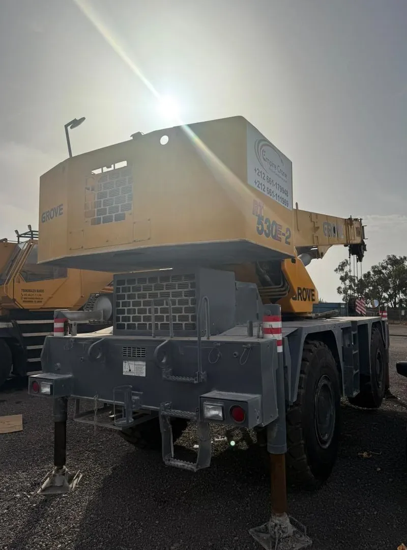 Grue tout-terrain 30t à vendre