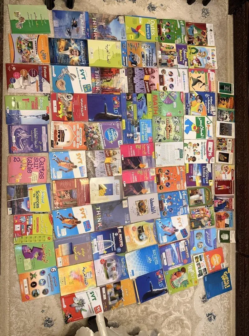 Lot de 100 livres scolaires et parascolaires