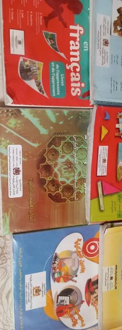 Ensemble de livres d'occasion pour la sixième année primaire