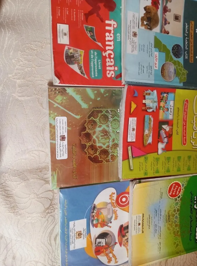 Ensemble de livres d'occasion pour la sixième année primaire