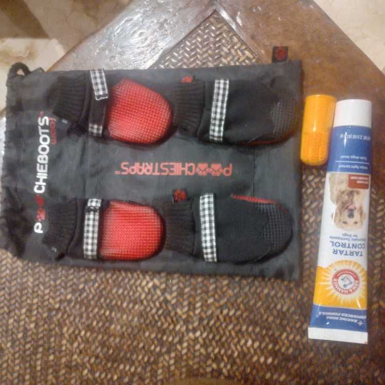Socquettes basket pour petit chien 🐕
