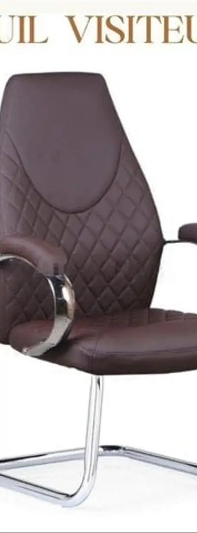 Fauteuil Visiteur avec Accoudoirs