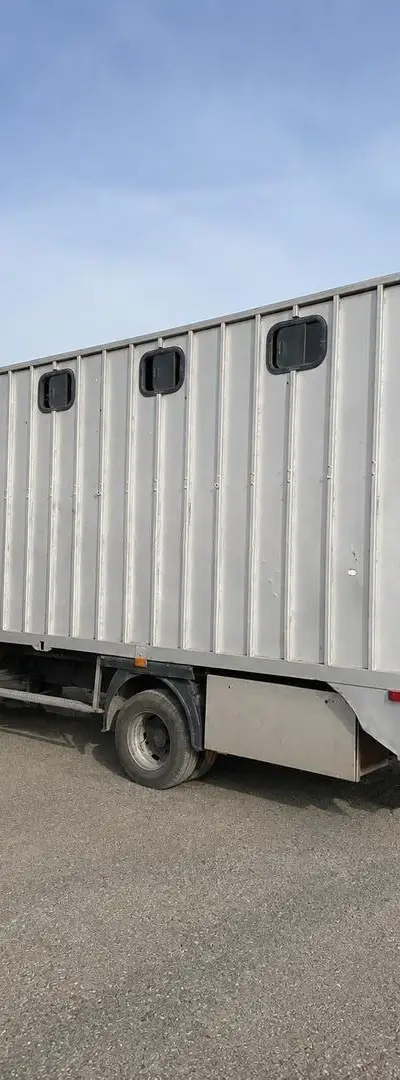 Camion Mercedes de transport de chevaux