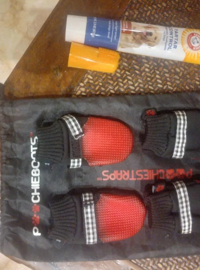 Socquettes basket pour petits chiens neuves
