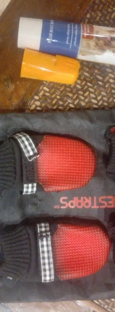 Socquettes basket pour petits chiens neuves
