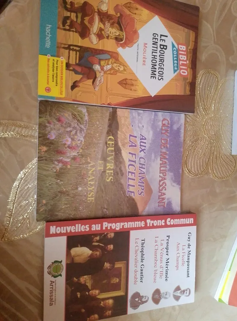 Lot de livres scolaires de français – Bon état