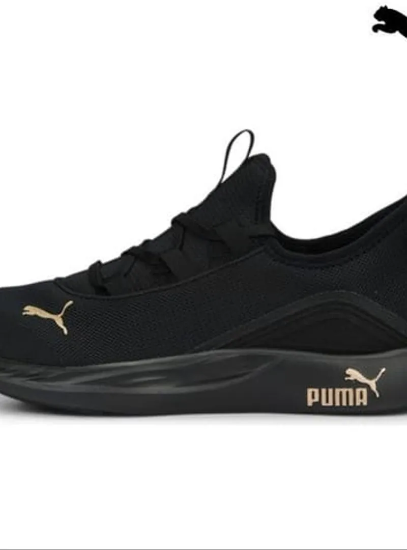 Puma d'origine