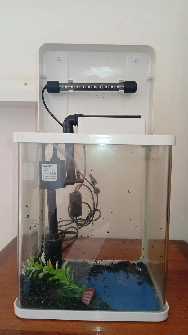 Aquarium pour poisson 🐟