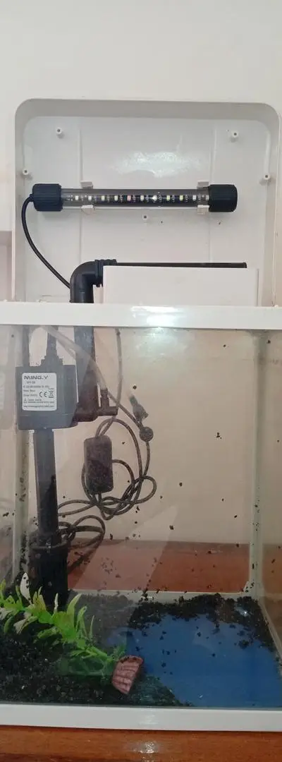 Aquarium pour poisson 🐟