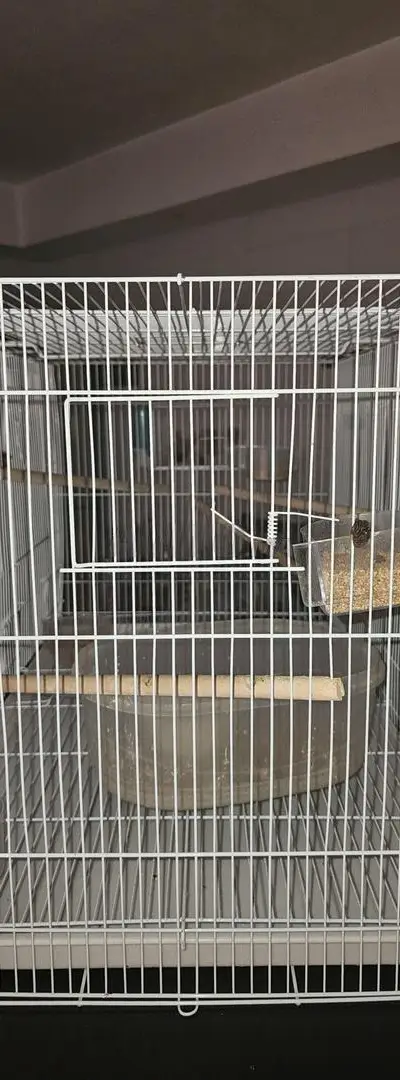 Grande cage à oiseaux
