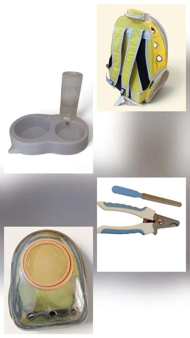Accessoires pour chat