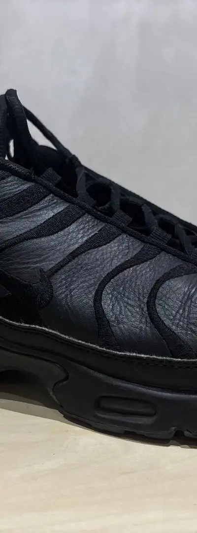 Nike Air Max Plus TN – Très bon état